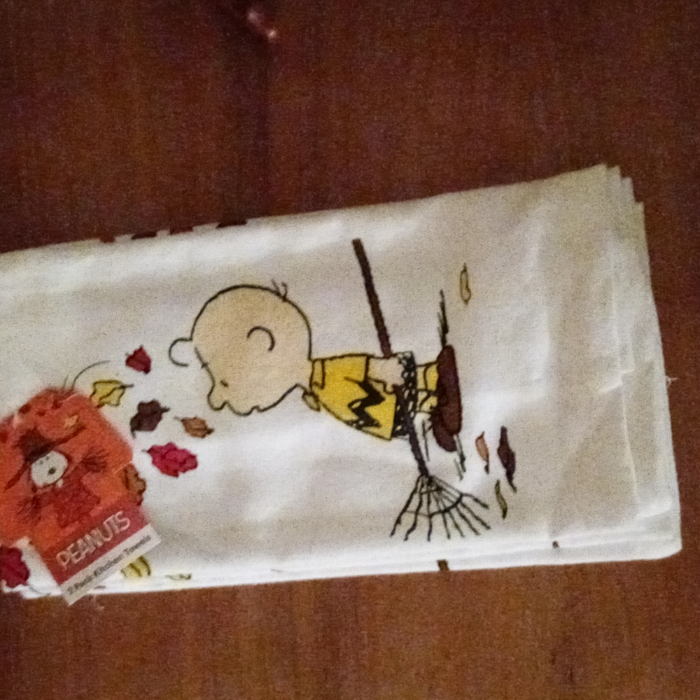 Charlie Brown kitchen towels